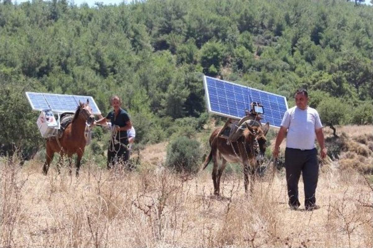 At Ve Eşek Sırtında D&uuml;nya İle İletişim