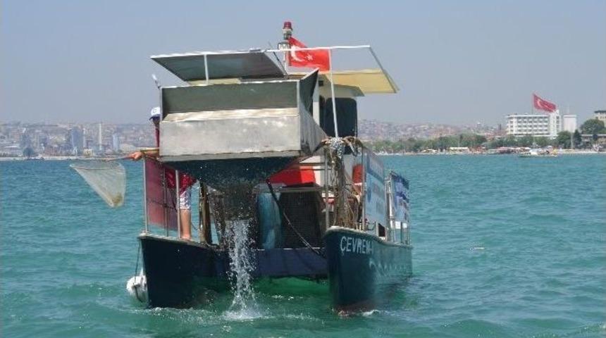 B&uuml;y&uuml;k&ccedil;ekmece&rsquo;de Kıyıların Temizliği &Ccedil;evre 2&rsquo;ye Emanet