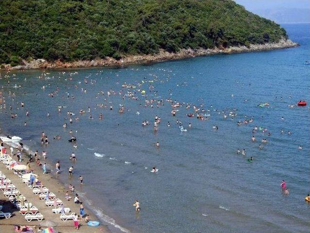 Milli Park Plajlarını Kuşadası Belediyesi İşletecek 2