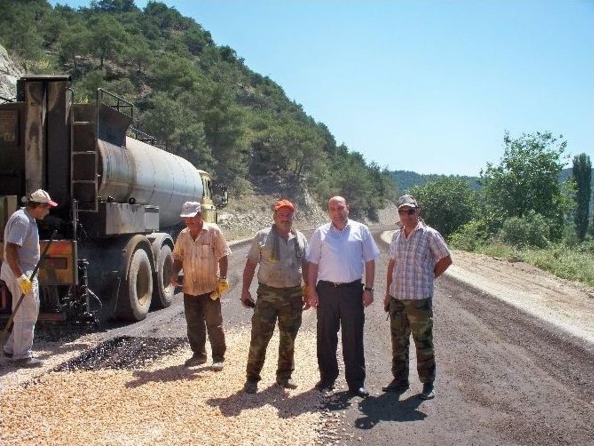 Osmaneli'de Yine Orman Yangını