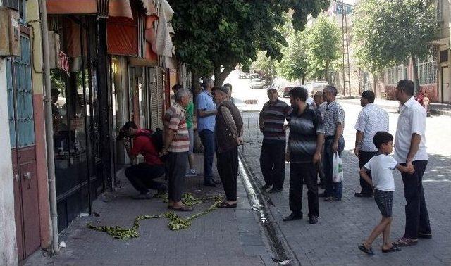 Gaziantep’te Silahlı Kavga: 2 Yaralı 1