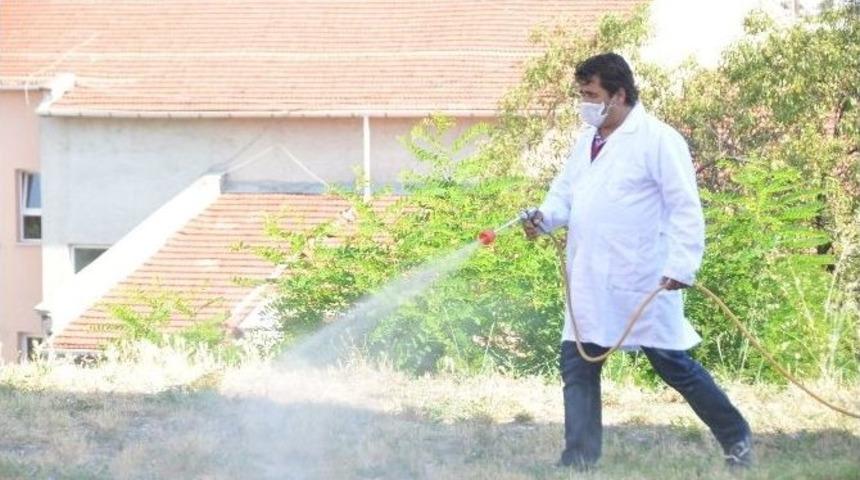 Bilecik'te Kene Ve B&ouml;ceklere Karşı İla&ccedil;lama &Ccedil;alışması