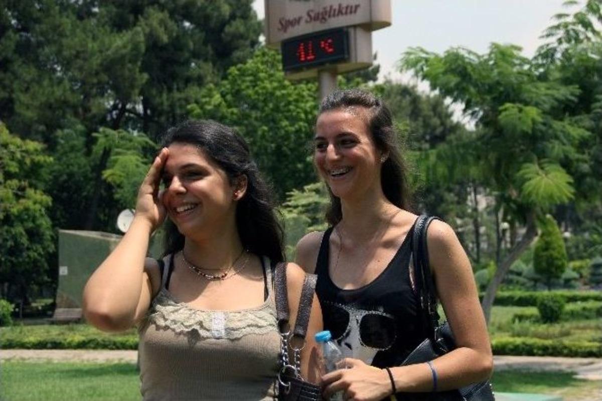 Serinliği Ağa&ccedil; G&ouml;lgesinde Arıyorlar