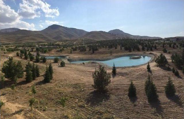 İnönü Üniversitesine Arboretum Parkı