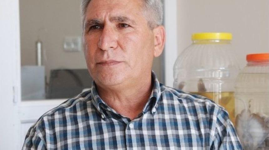 Anadolu'nun 80 T&uuml;r Balığı Yok Olma Tehdidinde