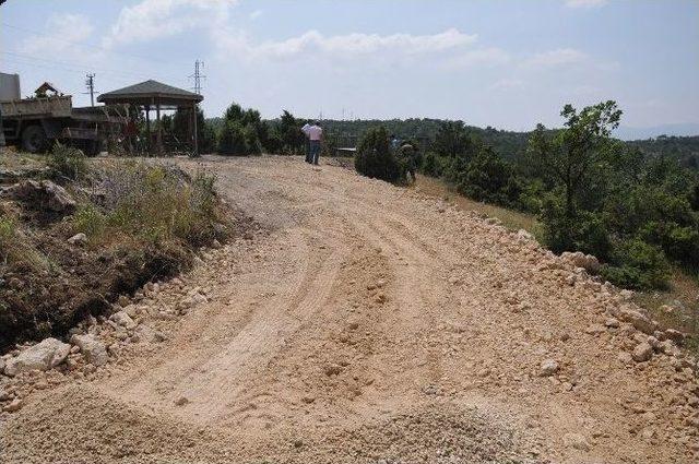 Kent Ormanında Yeni D&uuml;zenlemeler 2