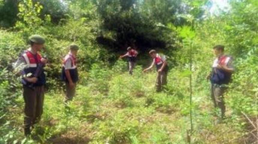 D&uuml;zce'de Uyuşturucu Operasyonu