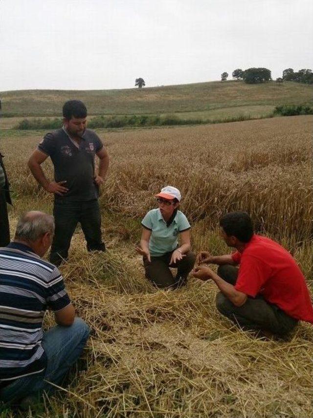 Manyas ta Kontroller Devam Ediyor 1