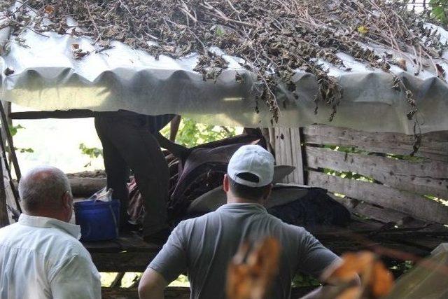 Bağ Evinde Tüfekle Vurulmuş Halde Ölü Olarak Bulundu