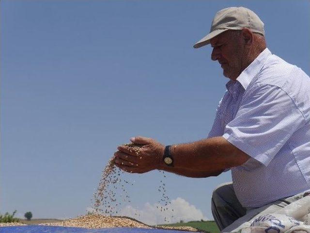 Edirne’de Üreticiyle Tüccar Arasında Gerginlik Yaşandı