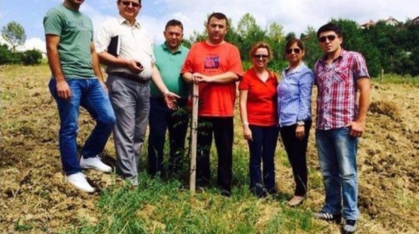 Zonguldaklı &Ccedil;ift&ccedil;i, 13 Dekarlık Tarlasına 200 Adet Ceviz Fidanı Dikti