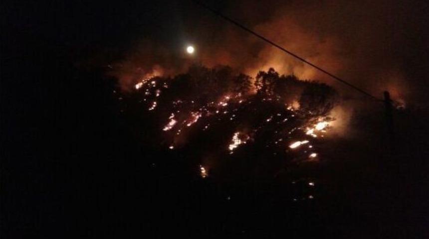 İki İl&ccedil;ede Orman Yangını