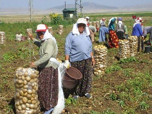 Sandıklı Ziraat Odası Başkanından Çiftçilere Uyarı