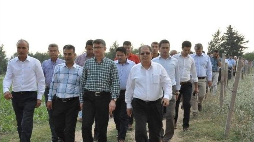 Cumhurbaşkanlığı Se&ccedil;imlerine Doğru