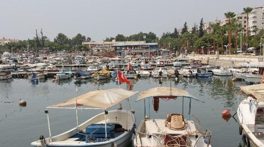 Mersin İkk: &ldquo;barınak Sorununa Mersinli Akt&ouml;rler Dahil Edilmeli&rdquo;