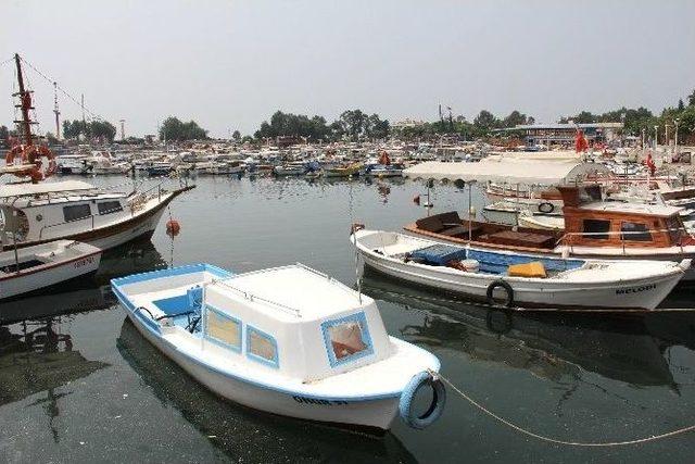 Mersin İkk: “barınak Sorununa Mersinli Aktörler Dahil Edilmeli”