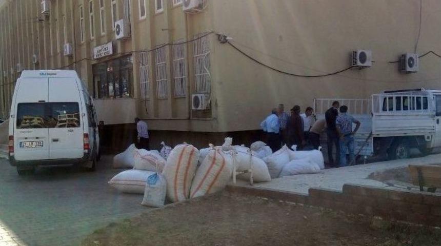 Kulp'ta İpek B&ouml;cek&ccedil;iliğinde Rekolte Kaybı Yaşandı