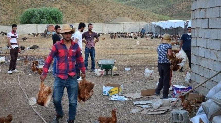 Y&uuml;ksekova&rsquo;da İlk Organik &Ccedil;iftlik