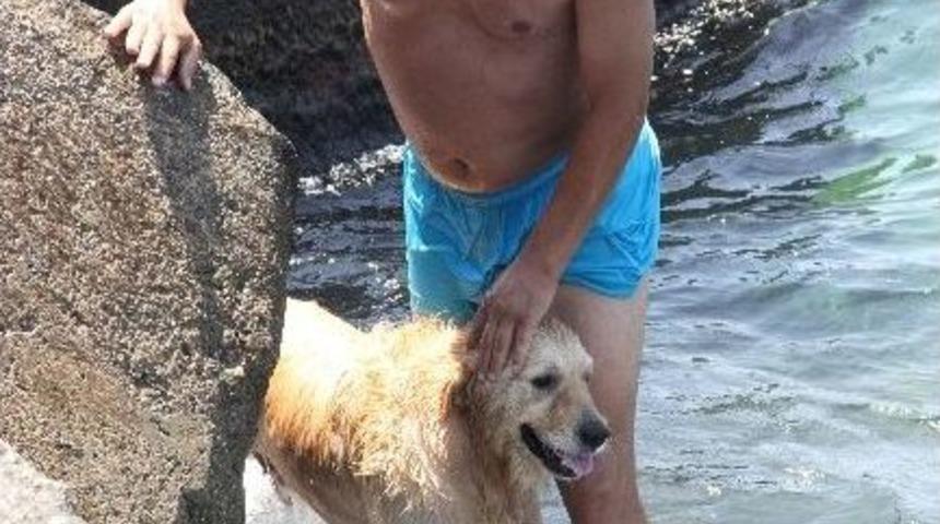 Sıcaktan Bunalan Duman K&ouml;pek Denize Girerek Serinledi