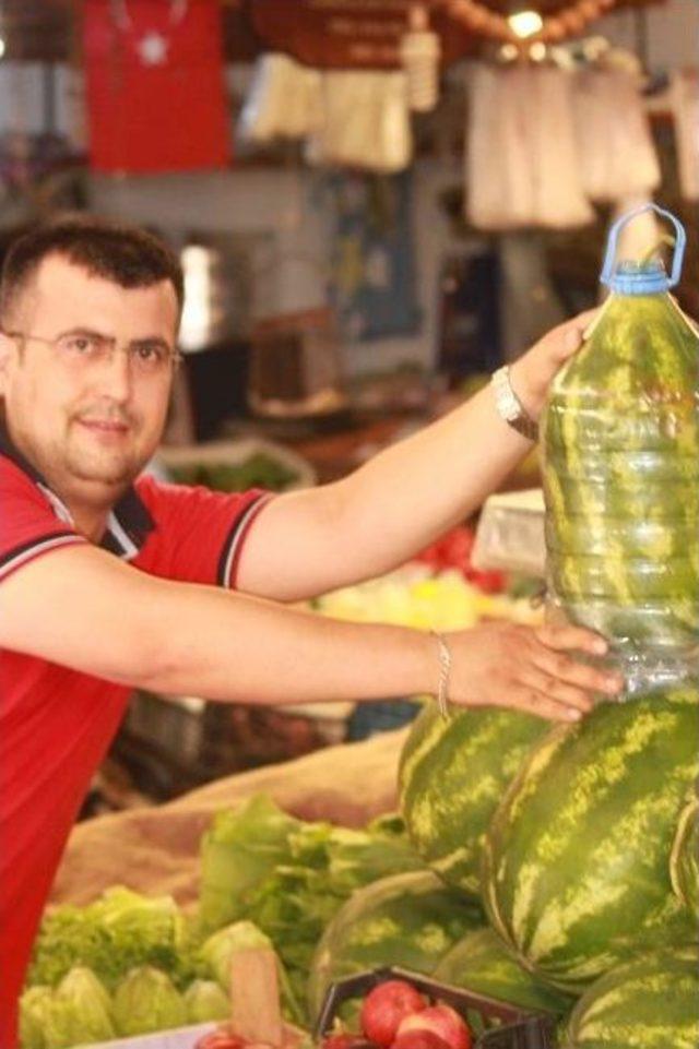 Plastik Şişe İçerisinde Karpuz Yetiştiriyor