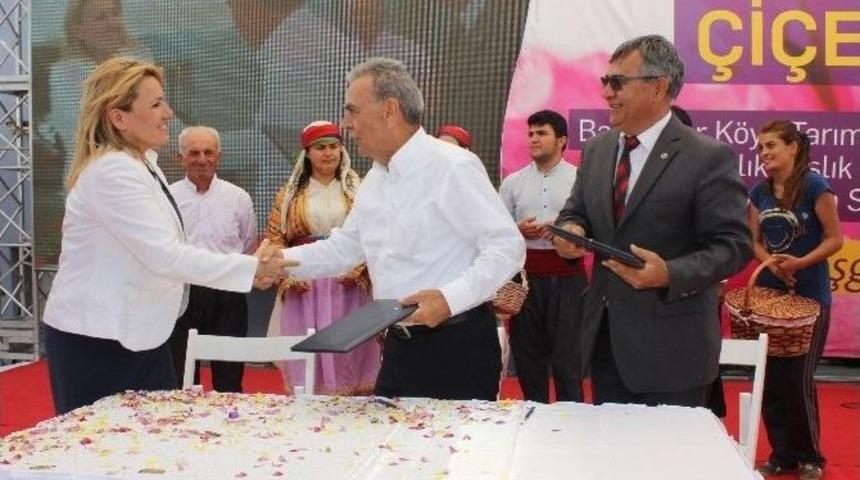 Urla Bademler &Ccedil;i&ccedil;ek A&ccedil;tı