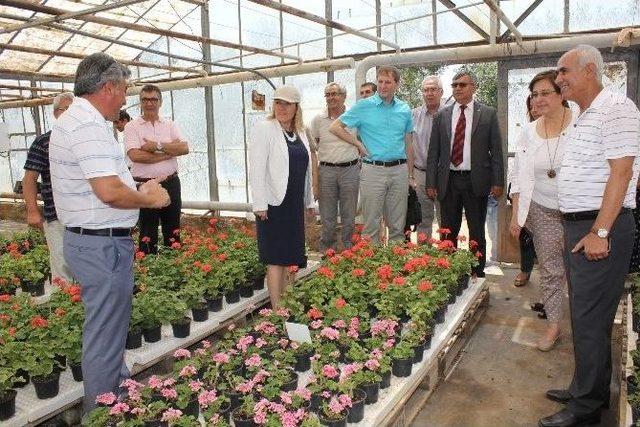 Urla Bademler &Ccedil;i&ccedil;ek A&ccedil;tı 1