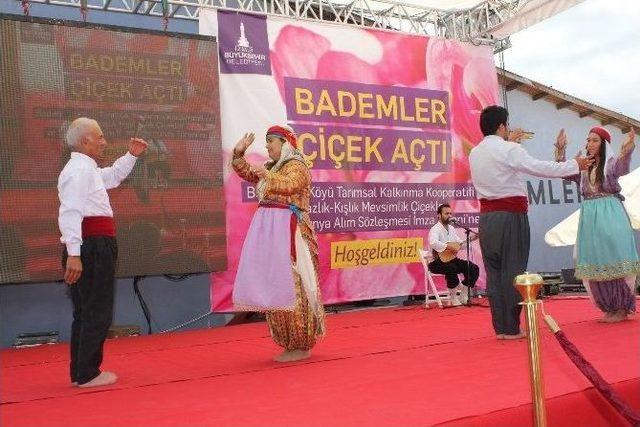 Urla Bademler &Ccedil;i&ccedil;ek A&ccedil;tı 2
