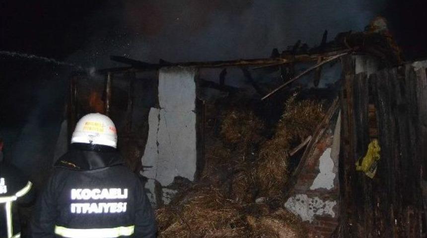 Ahıra Yıldırım D&uuml;şt&uuml;