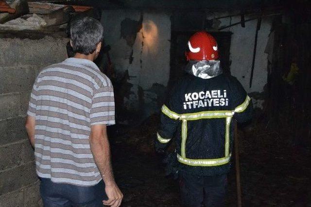 Ahıra Yıldırım D&uuml;şt&uuml; 1