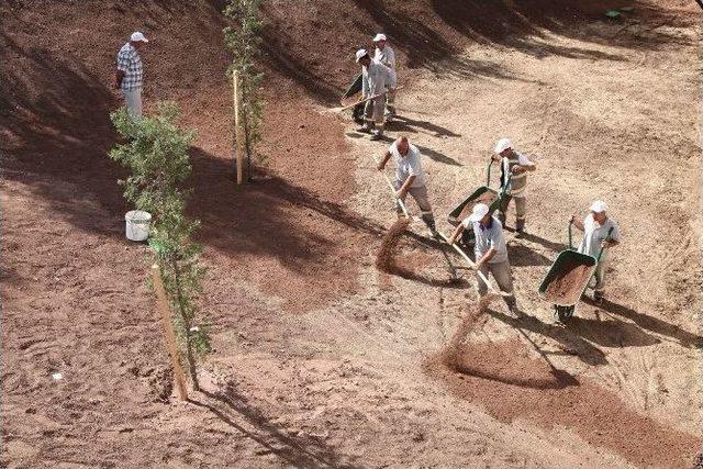 Odunpazarı Belediyesi’nin Yeşillendirme Seferberliği