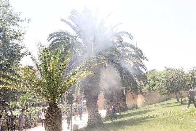 Balıklıg&ouml;l de Yanan Ağa&ccedil; Paniğe Neden Oldu 1