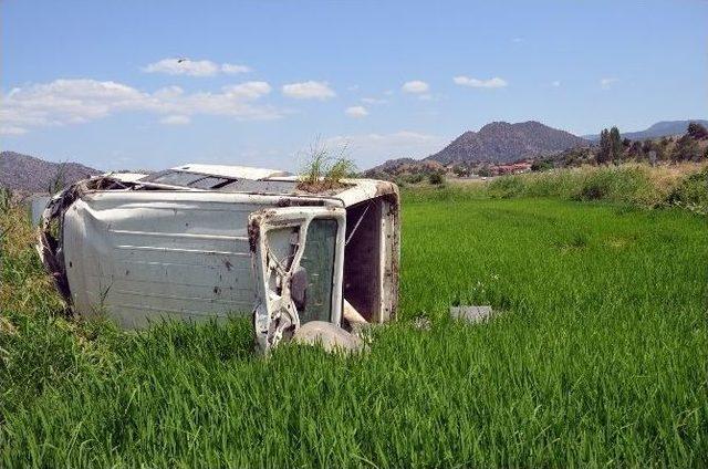 Otomobil &Ccedil;eltik Tarlasına U&ccedil;tu: 1 &Ouml;l&uuml;, 3 Yaralı 2