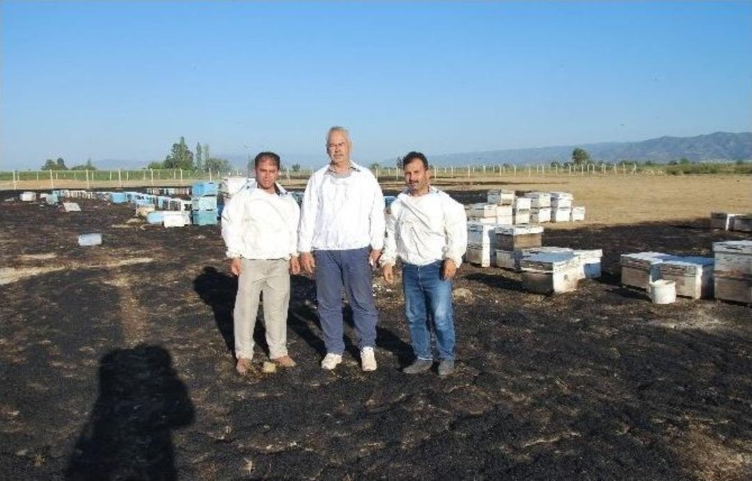 Aydın&rsquo;da Arılık Yangını