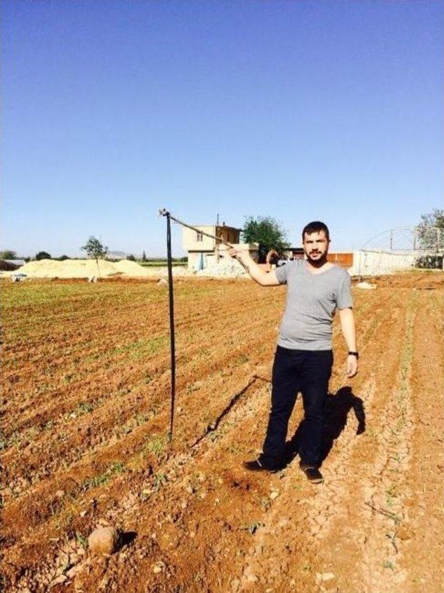 Aşırı Sıcaklar Yılan Nüfusunu Attırdı 1