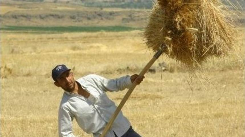 Tahıl &Uuml;reticisini Kuraklık Vurdu