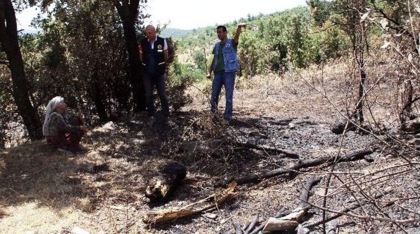 Fatma Nine Ormancılara Duacı