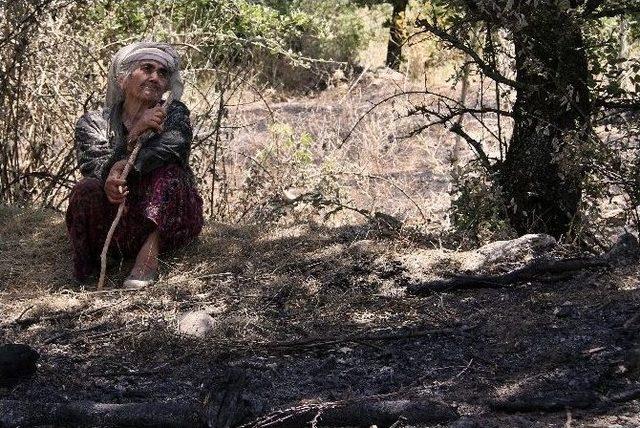 Fatma Nine Ormancılara Duacı 1