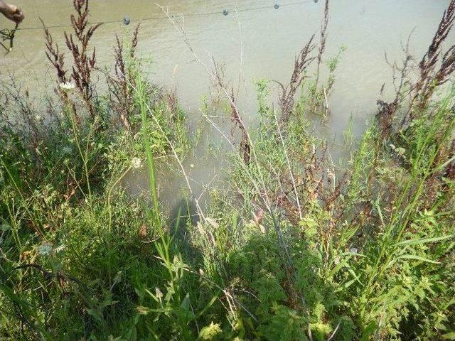 Kaçak Balık Avlayanlara Para Cezası 1