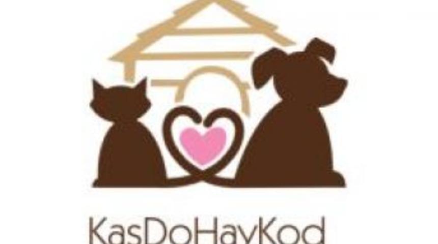 Kastamonu Doğa ve Hayvanseverler Derneği kuruldu