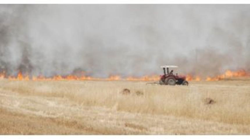Anızı Yakan Da Yanacak...