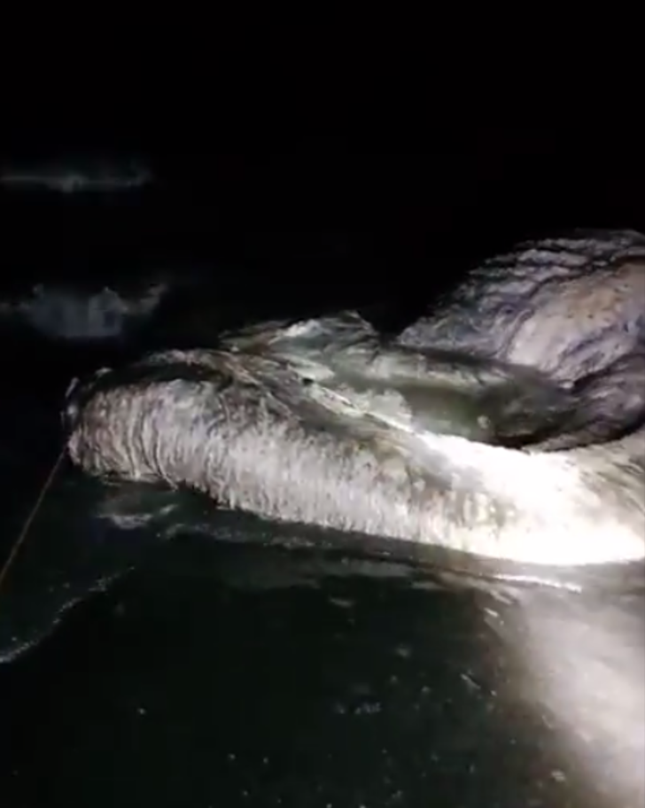 Bir anda karada belirdi! Kimse ne olduğunu bilmiyor G4