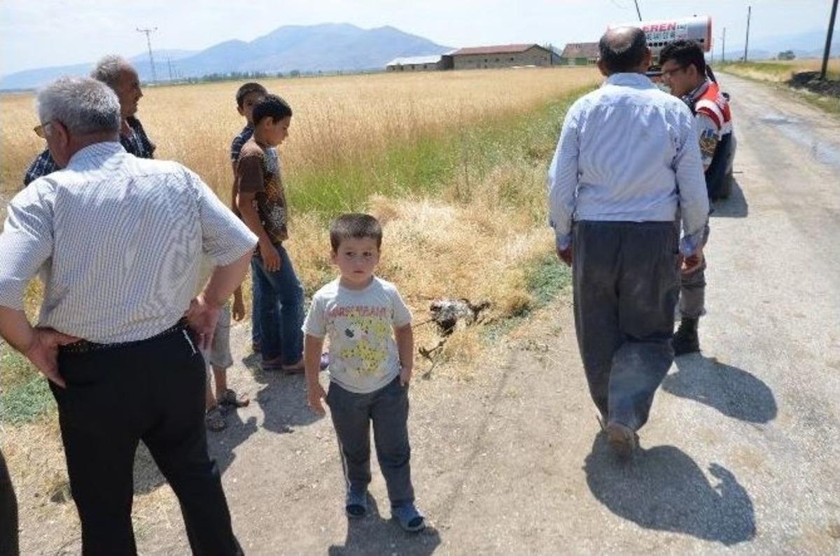 Elektrik Teline Takılan Leylek Yangın &Ccedil;ıkardı