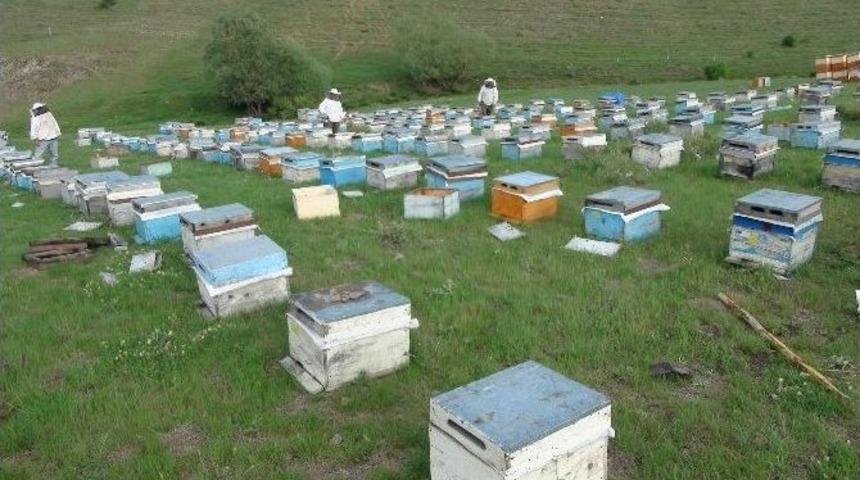 Gezginci Arıcıların Konaklama İzin Belgesi Alması Gerekiyor