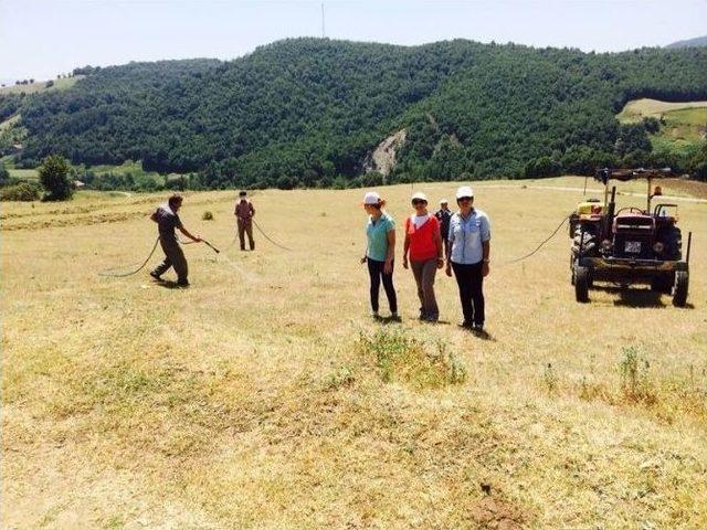 Çaycuma’da Çekirge’ye Karşı İlaçlama Çalışması Başladı