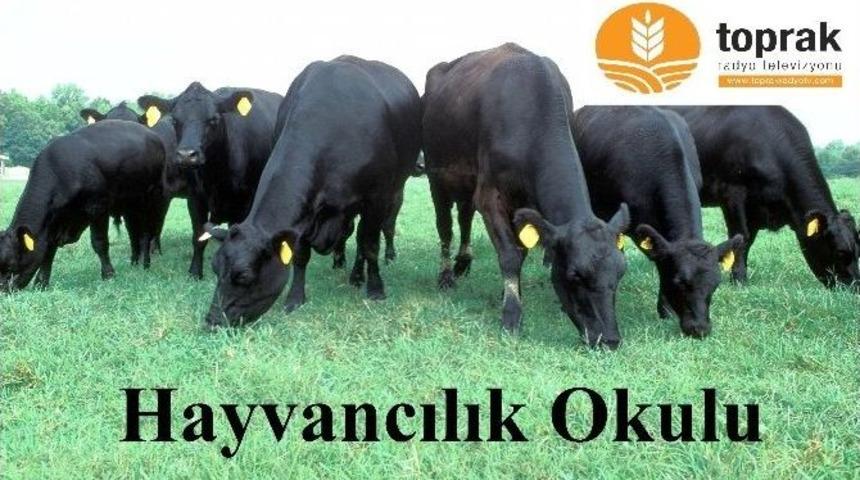 Hayvancılık Okulu Toprak Tv Ekranlarında