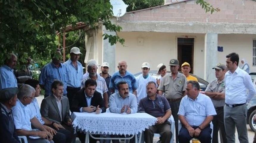 Ork&ouml;y Ektiğini Bi&ccedil;iyor