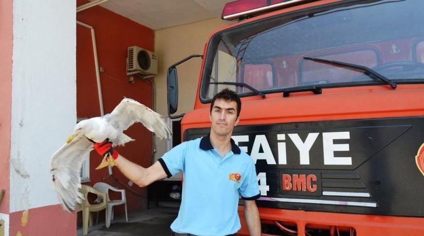 Apartman Boşluğuna D&uuml;şen Yaralı Martı Kurtarıldı