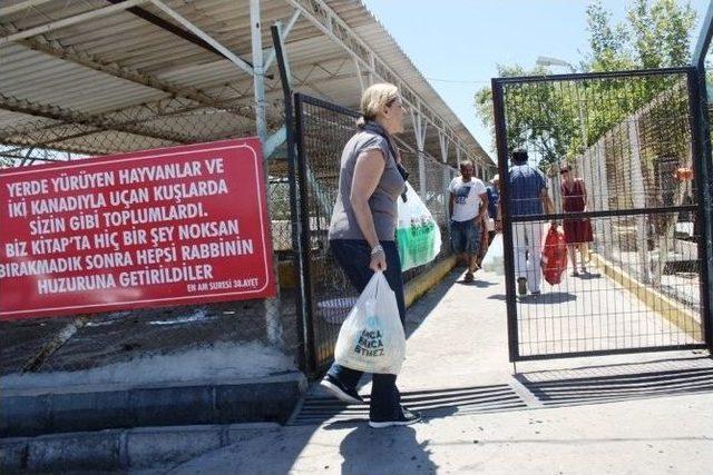 Barınaktaki Hayvanlara Yoğurt G&uuml;n&uuml; 1