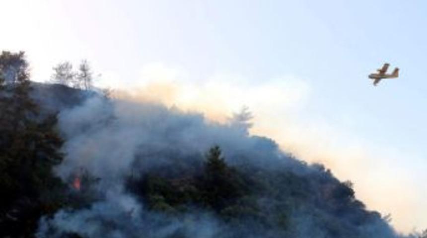 &Ccedil;ine&rsquo;deki Orman Yangını Kontrol Altına Alındı