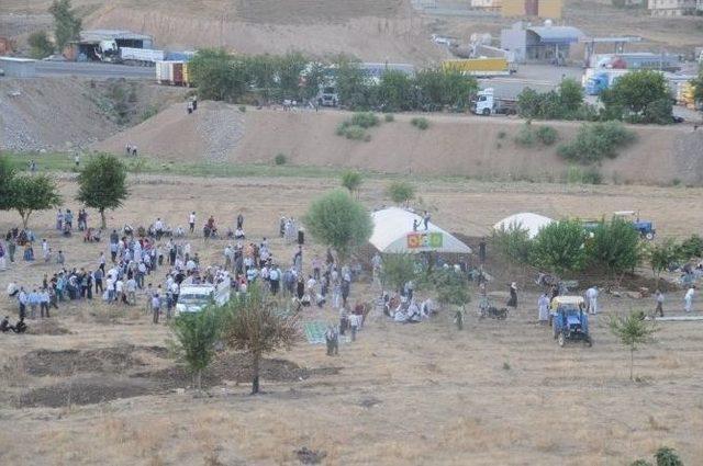 Cizre&rsquo;de Suriye Sınırında N&ouml;bet &Ccedil;adırı Kuruldu 1